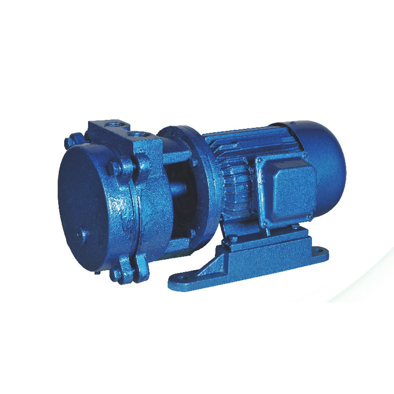 SKA (bv) series water ring vacuum pump